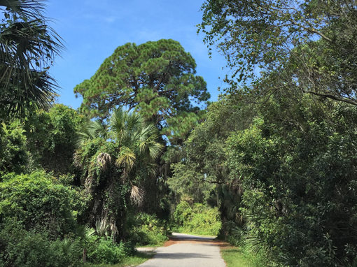 Campground walk